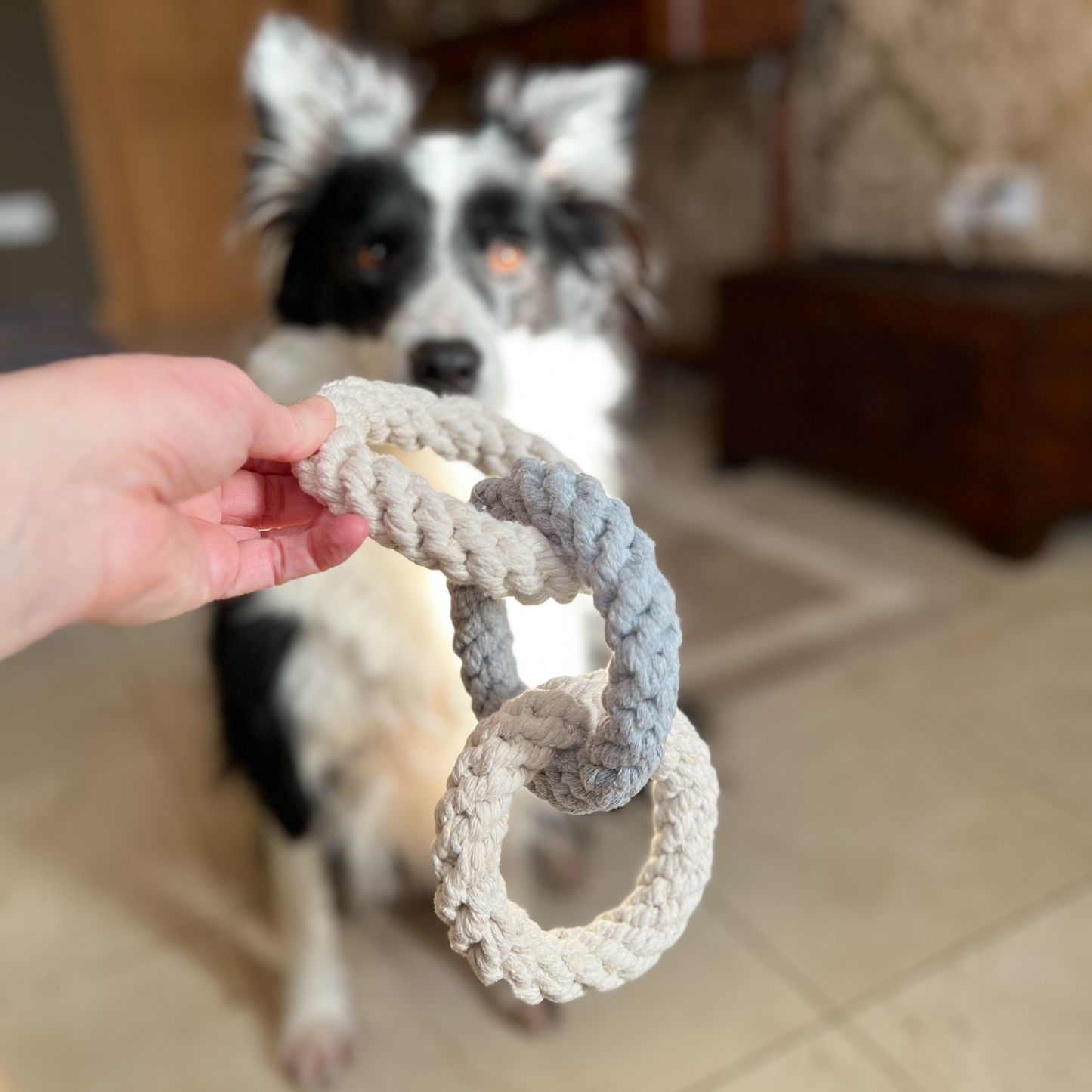 Potamo and Tri Ring Rope Toy