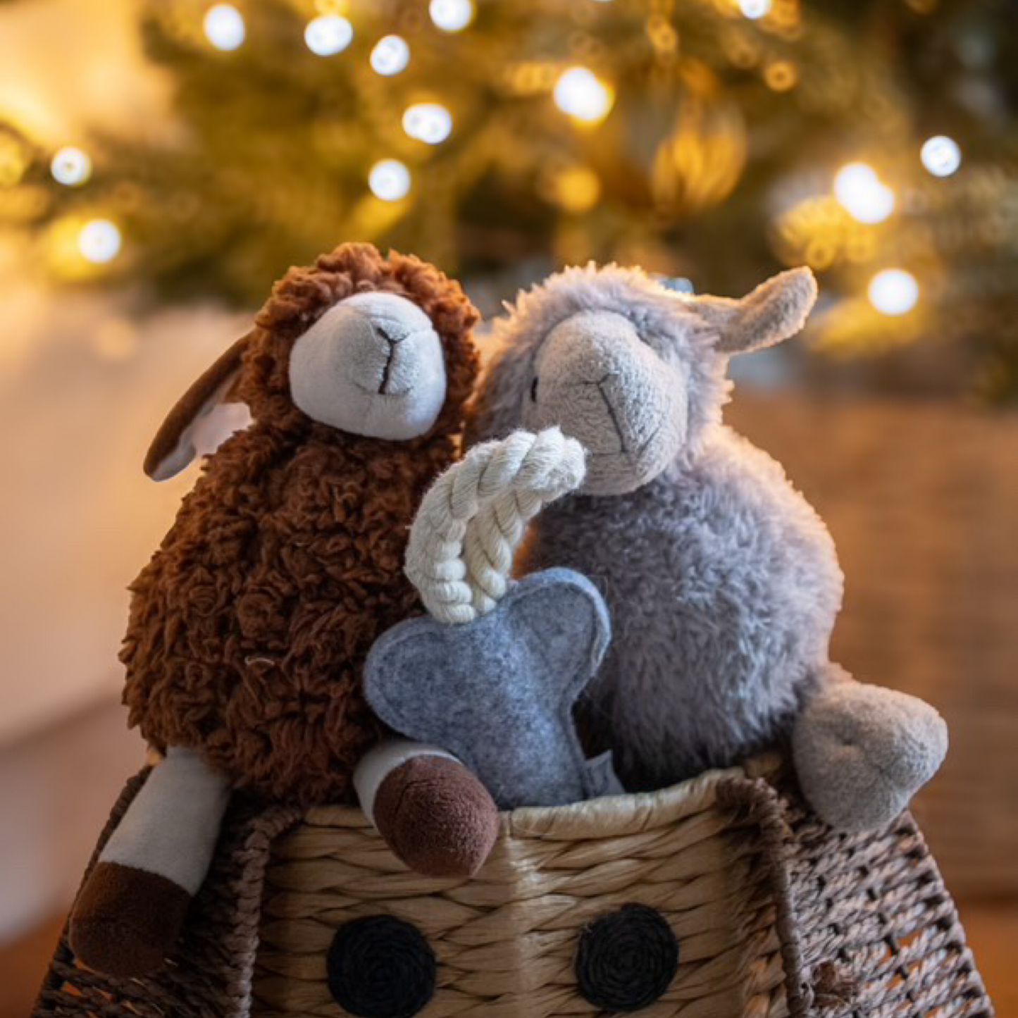 Luca Lamb and Sansa Sheep Bundle