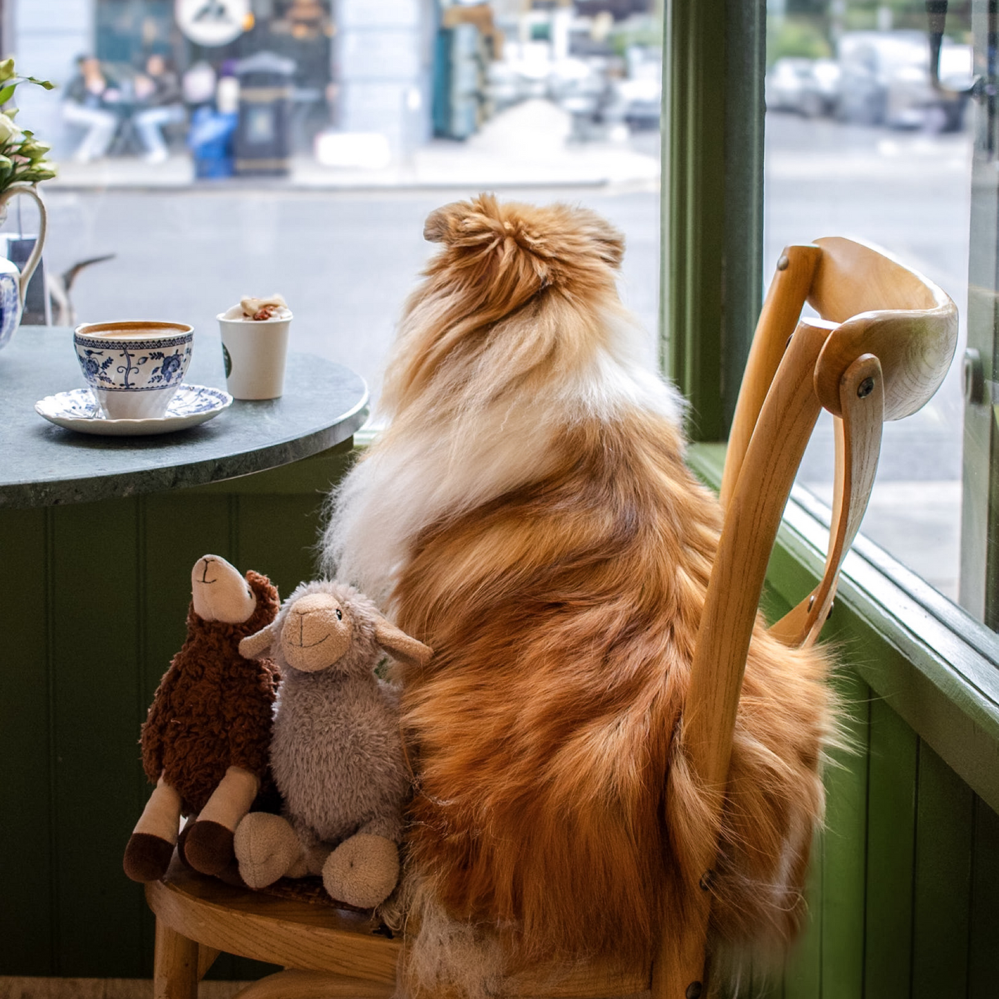 Luca Lamb and Sansa Sheep Bundle