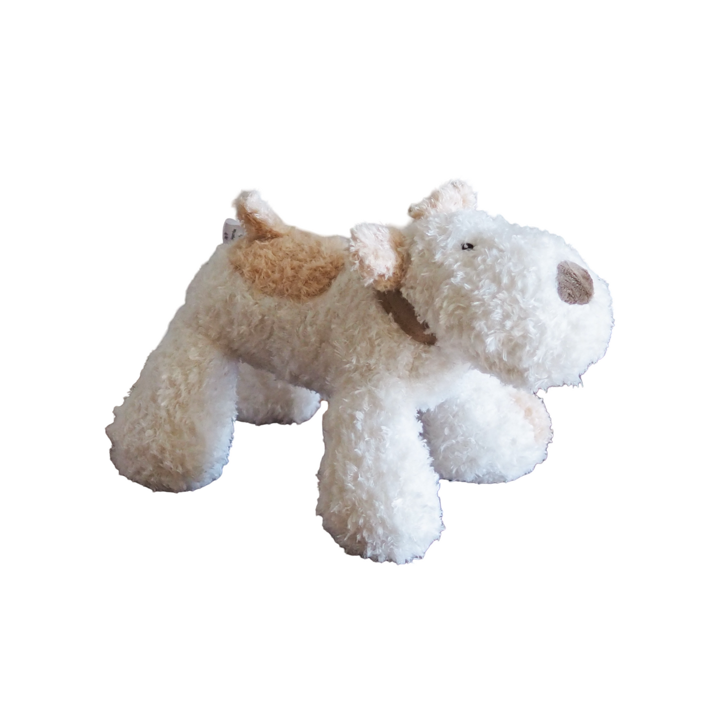 Arturo and Bingley