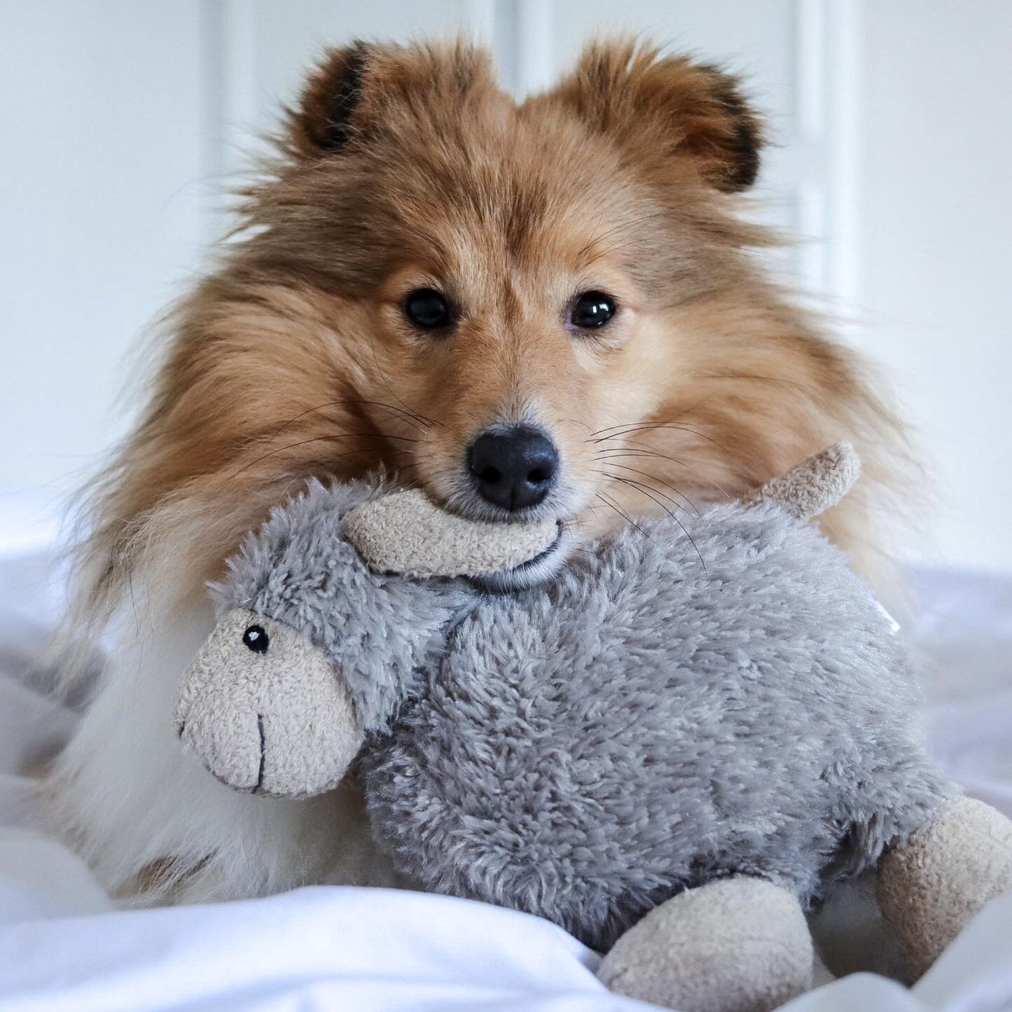 Luca Lamb, Sansa Sheep and Cotton Heart Toy Bundle