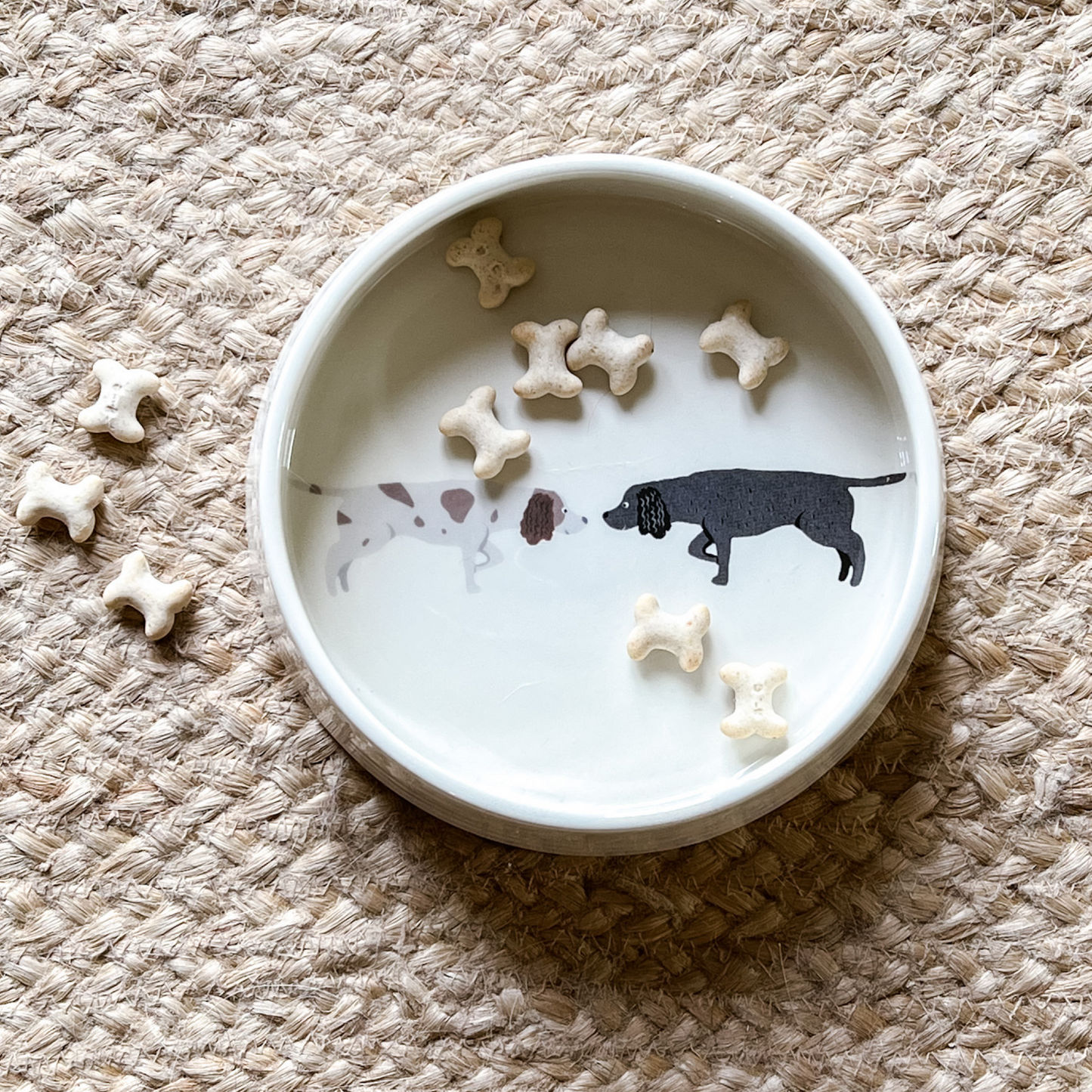 Springer Spaniel Ceramic Dog Bowl | Brown and White and Black Springer Spaniel Design