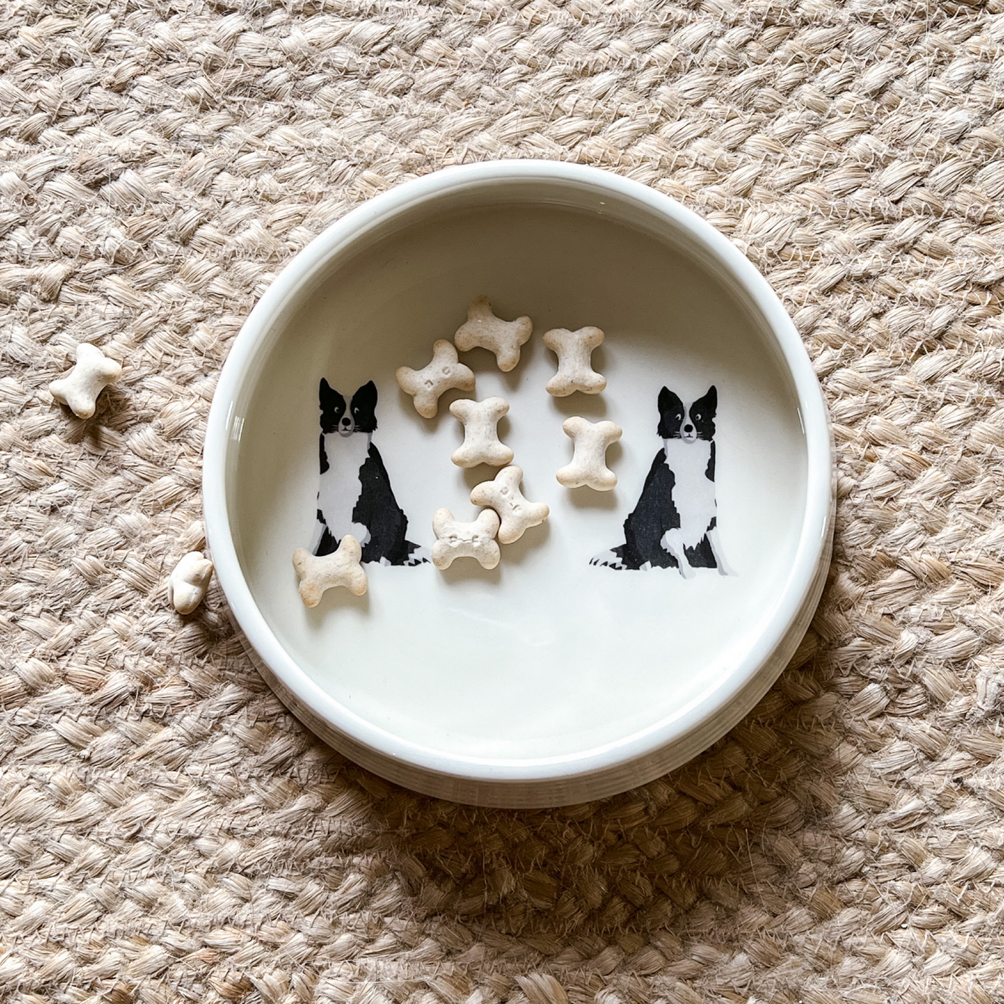 Border Collie Ceramic Dog Bowl