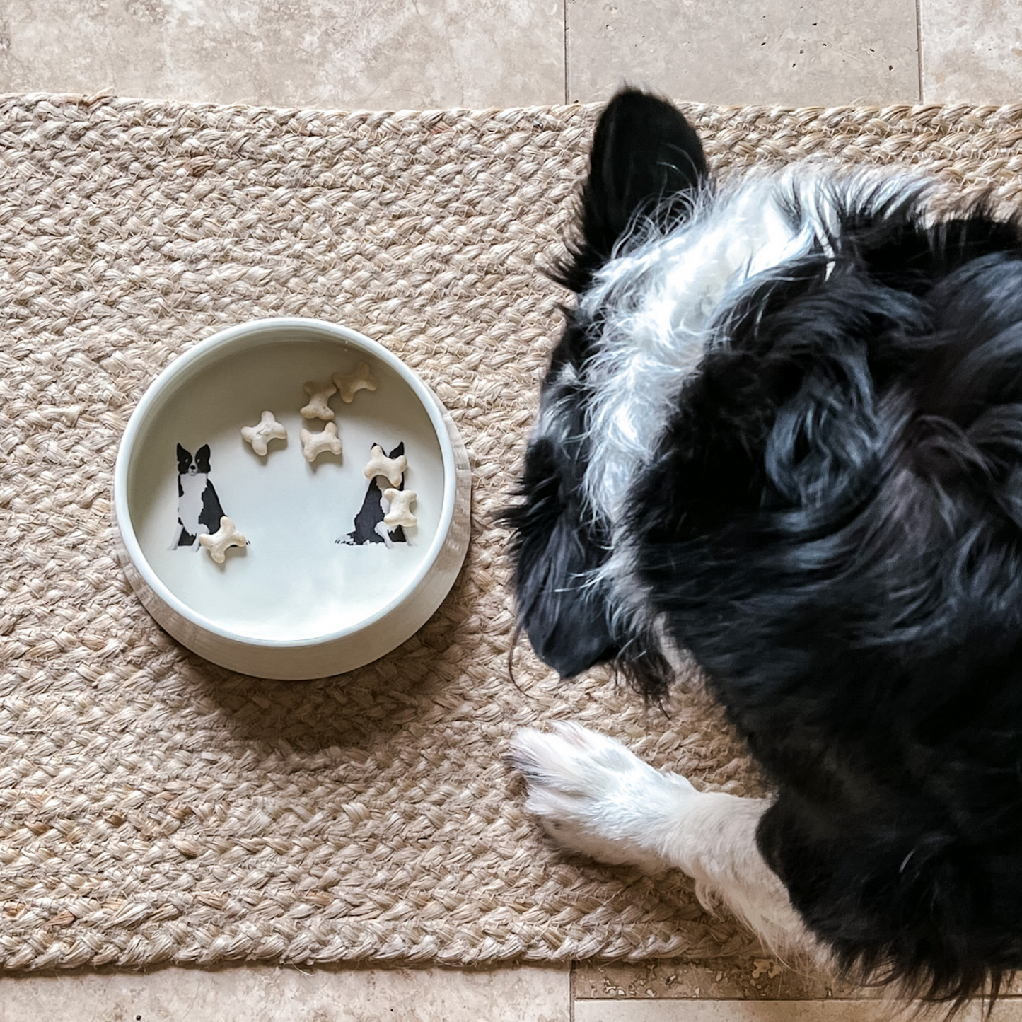 Border Collie Ceramic Dog Bowl
