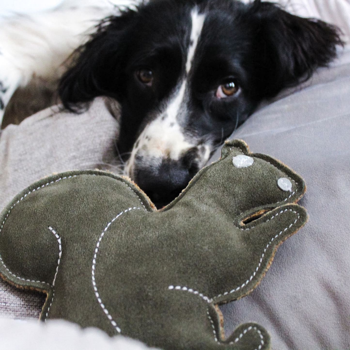Olive, Dudley and Tuffy Bundle - 3 Popular Durable Squeaky Dog Toy Gifts