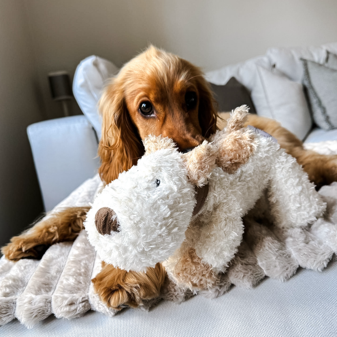 4 Plush Dog Toys