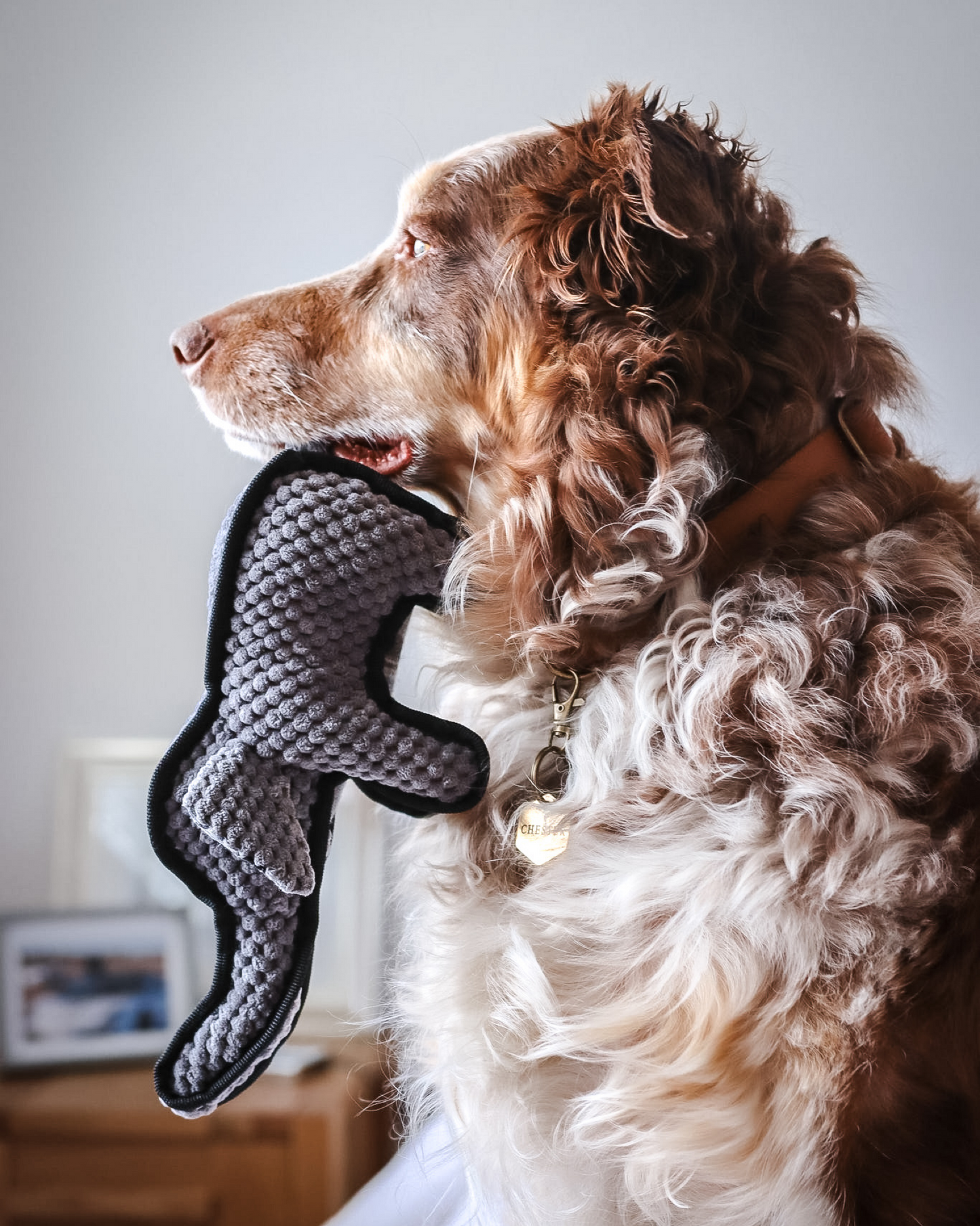 Olive, Dudley and Tuffy Bundle - 3 Popular Durable Squeaky Dog Toy Gifts