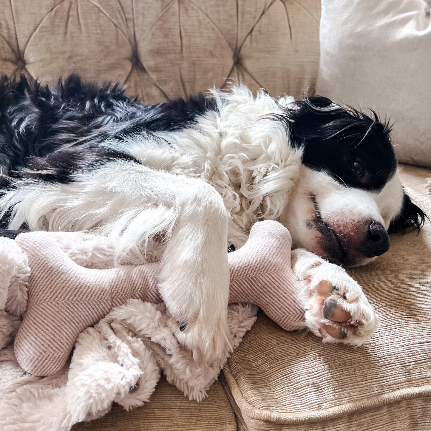 Wool Bone and Felt Rope Dog Toys