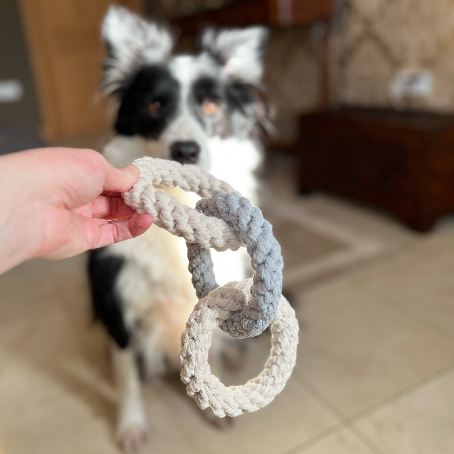 Tri Ring Natural Rope Dog Toy