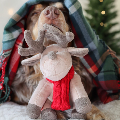 Luxury Plush and Squeaky Festive Reindeer