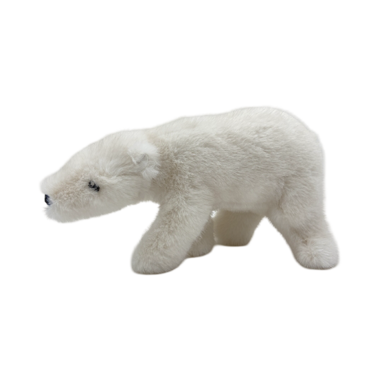 Arturo Polar Bear
