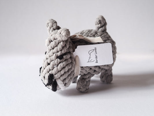 Little Hippo Rope Dog Toy Gift