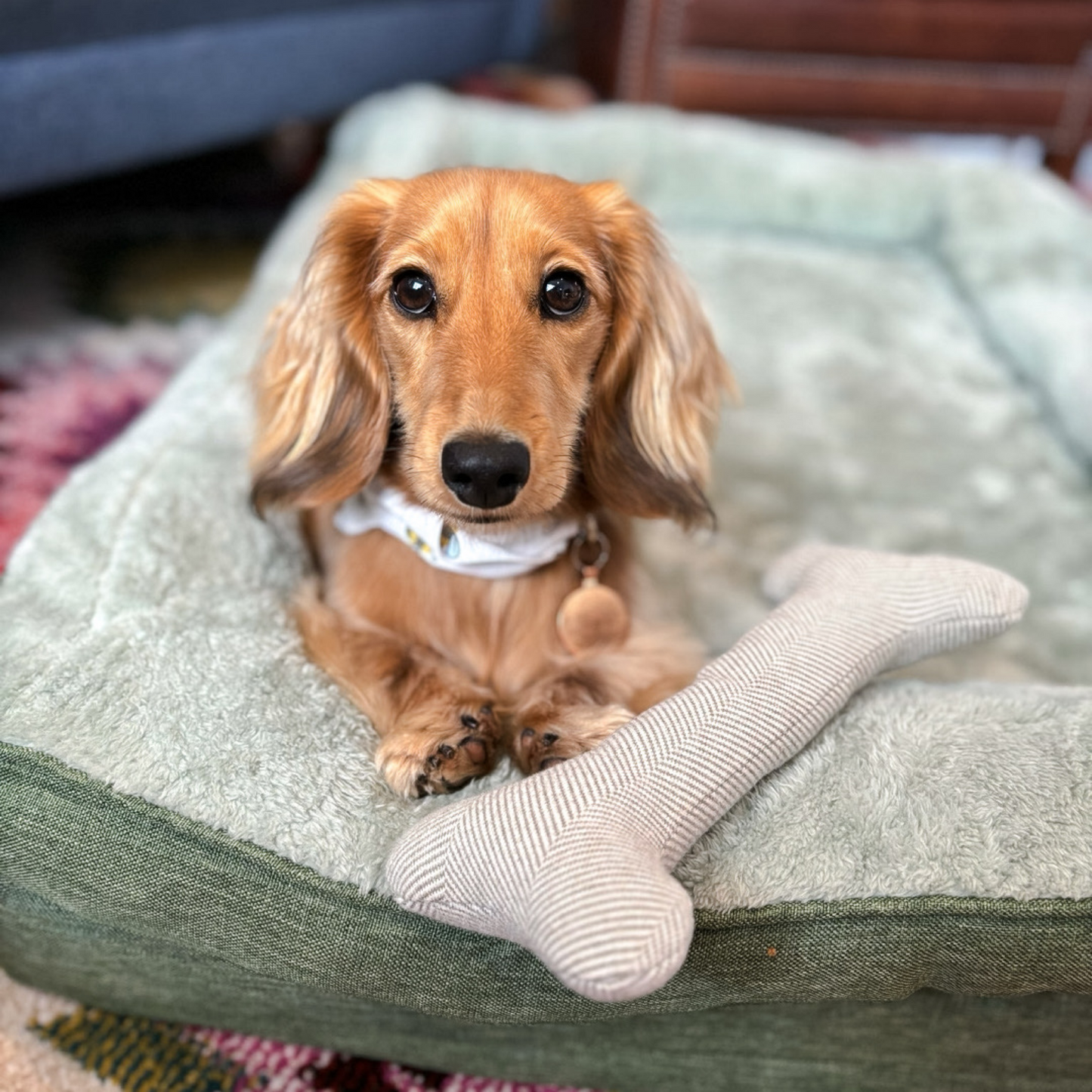 Handmade Squeaky Wool Bone Dog Toy Gift