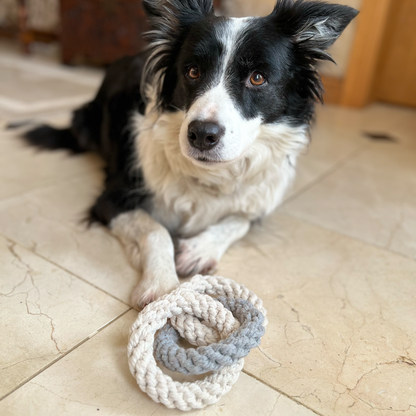 Tri Ring Natural Rope Dog Toy