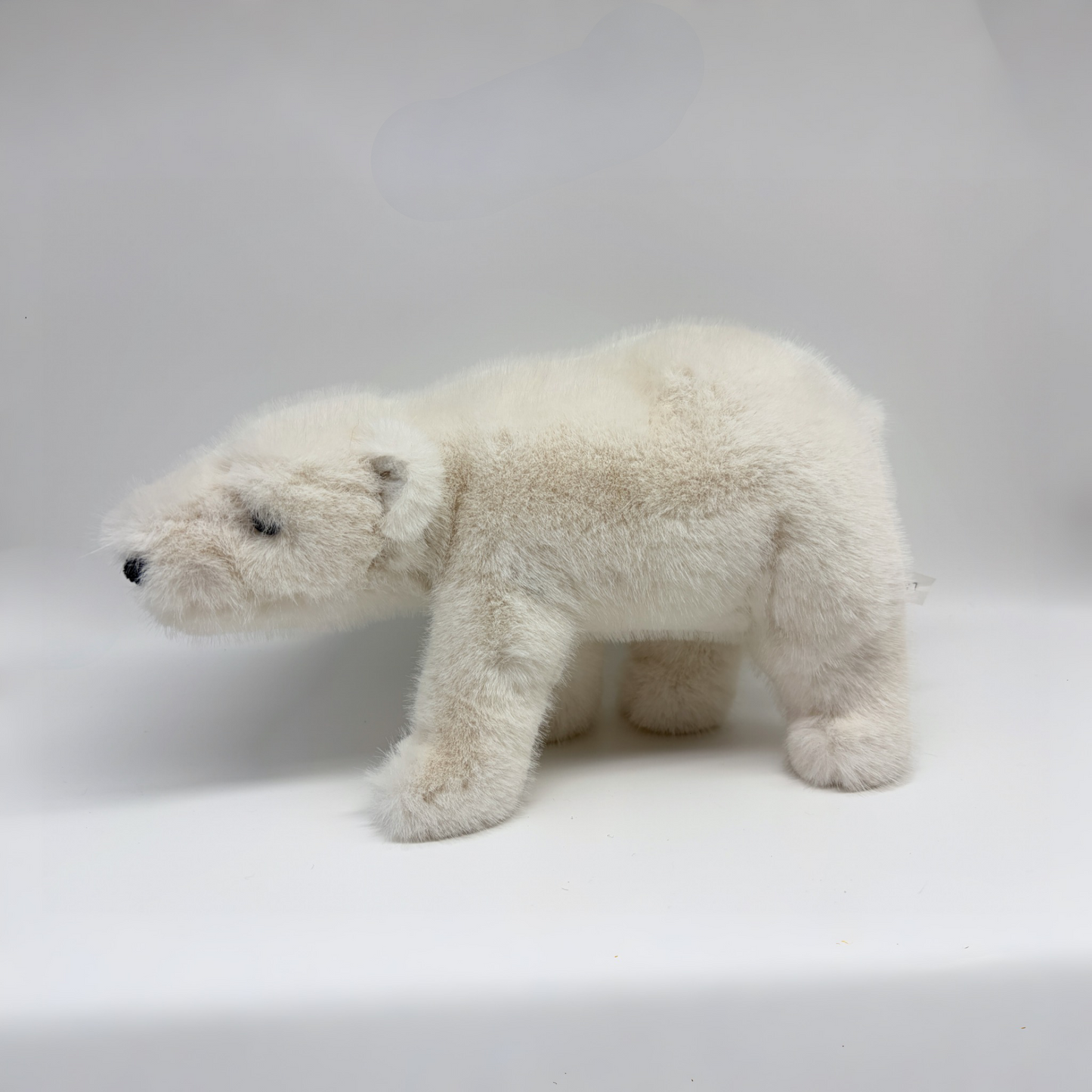 Arturo Polar Bear