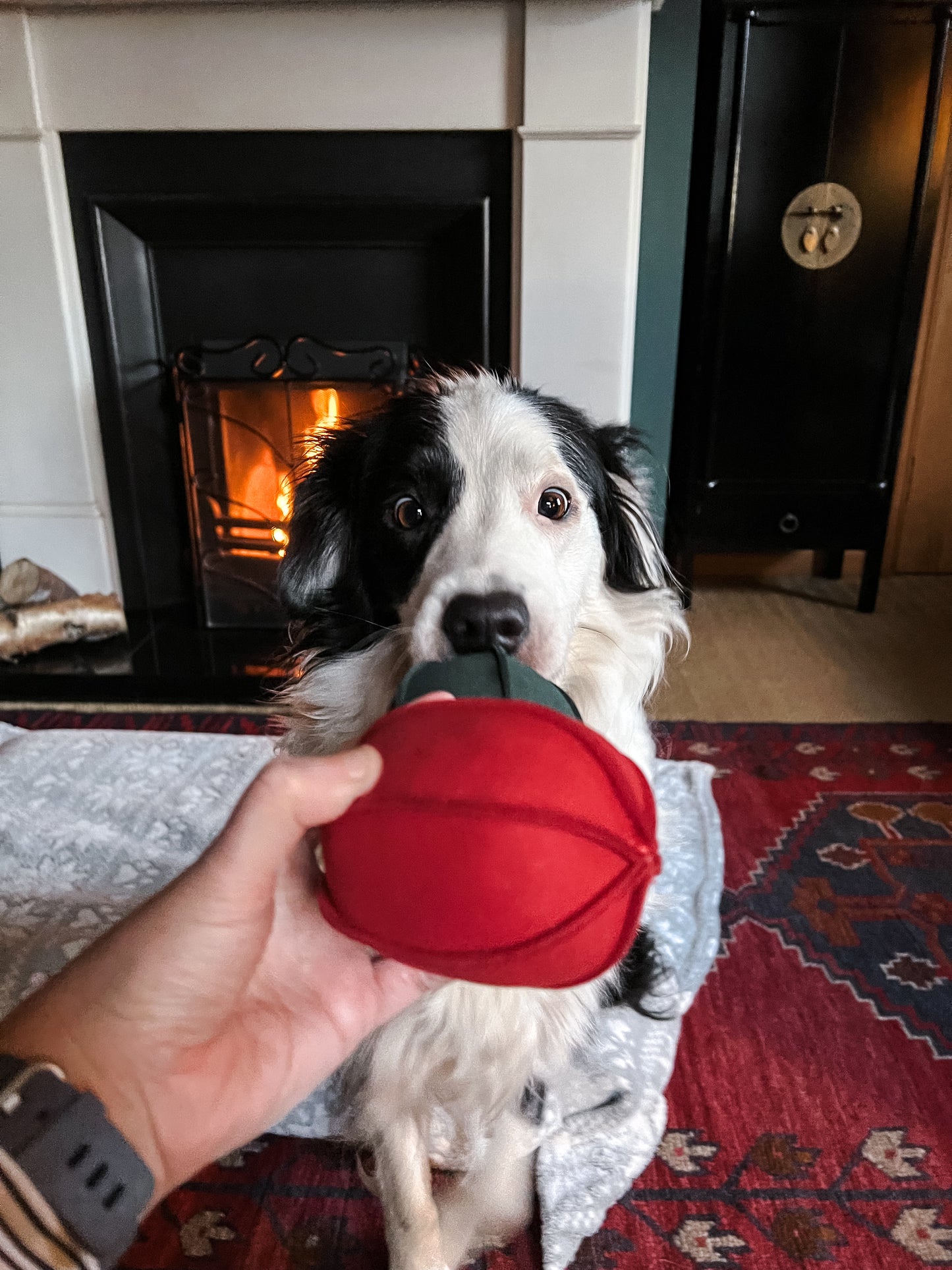 Christmas Suede Indoor Play Ball Set