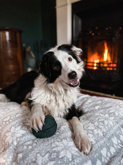 Squeaky Wool Bone and Suede Ball Dog Toys