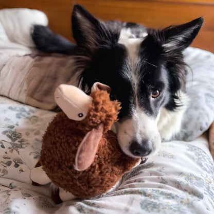 Luca Lamb and Sansa Sheep Bundle