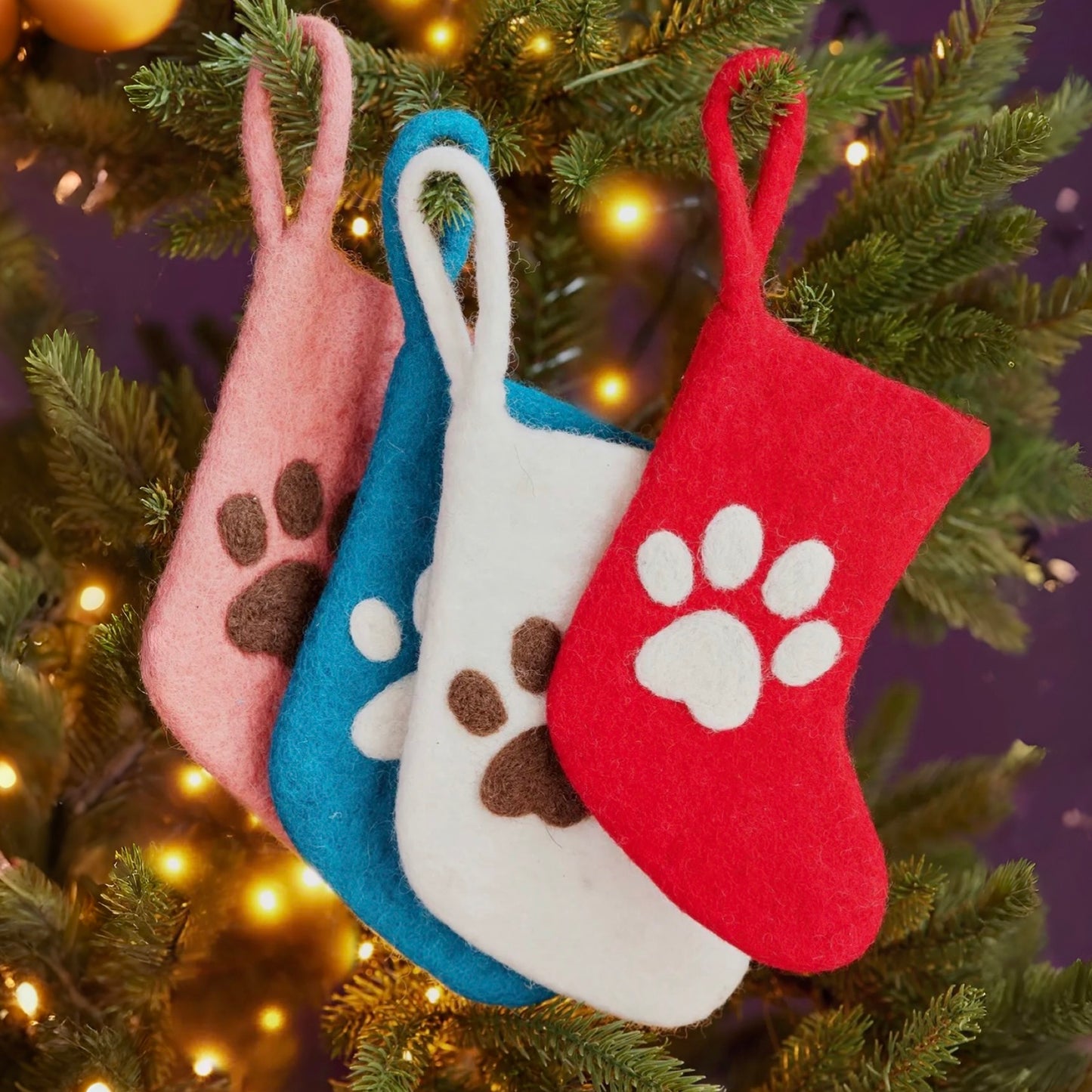 Felt Paw Mini Dog Stocking