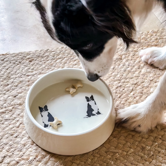 Border Collie Ceramic Dog Bowl