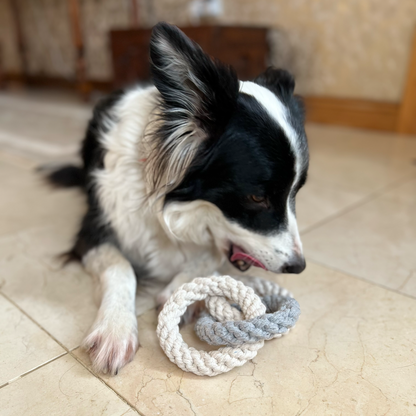 Tri Ring Natural Rope Dog Toy