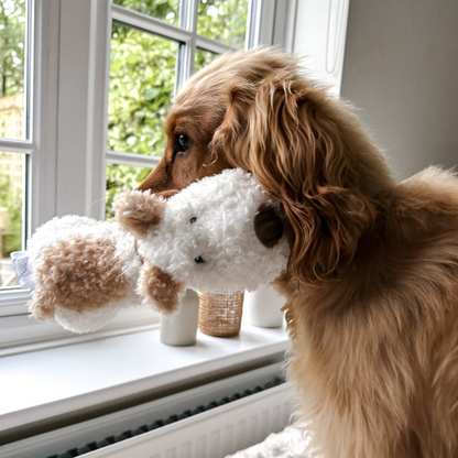 ‘Bingley’ - Popular Plush Squeaky Squidgy Dog Toy