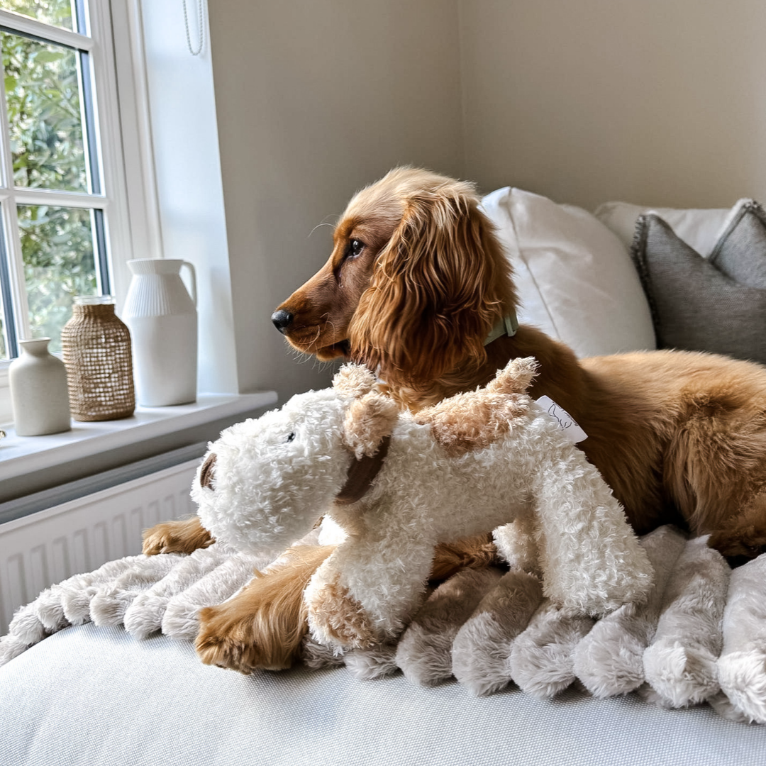 ‘Bingley’ - Popular Plush Squeaky Squidgy Dog Toy