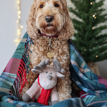 Luxury Plush and Squeaky Festive Reindeer