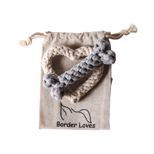 Puppy / Small Dog Gift Set