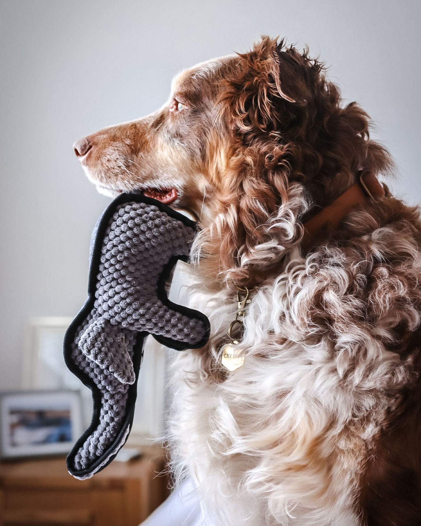 Plush Squeaky ‘Tuffy’ the Elephant Dog Toy