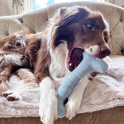 Wool and Felt ~ Set of 2 Blue and Turquoise Dog Toys