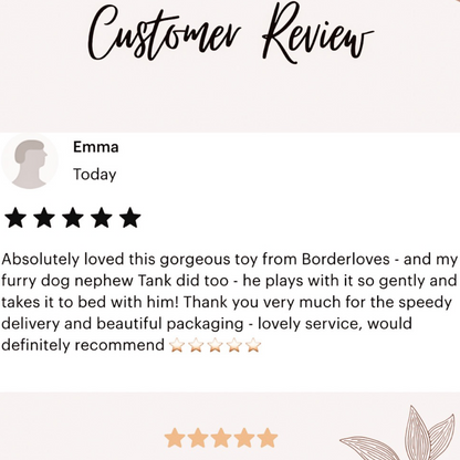 Five star customer review for Border Loves