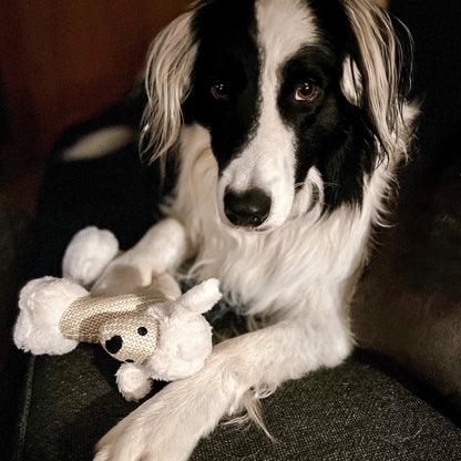 squeaky sheep dog toy from Border Loves with border collie dog