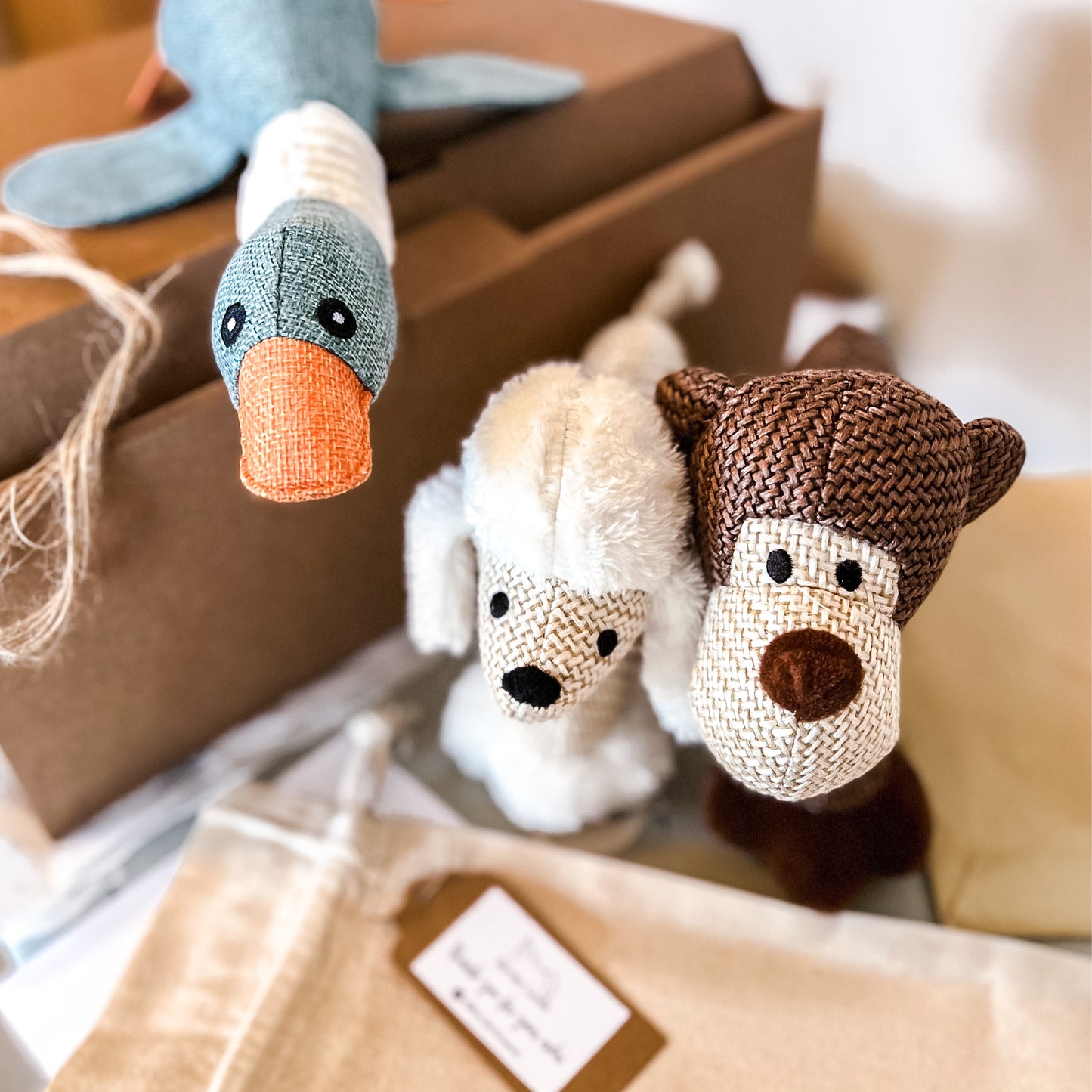 3 dog plush toys from Border Loves, squeaky sheep, monkey and duck