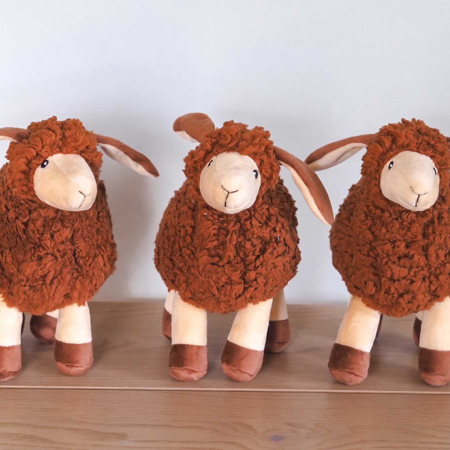 3 Plushie Luxury Squeaky Sheep Dog Toys standing in a row by Border Loves